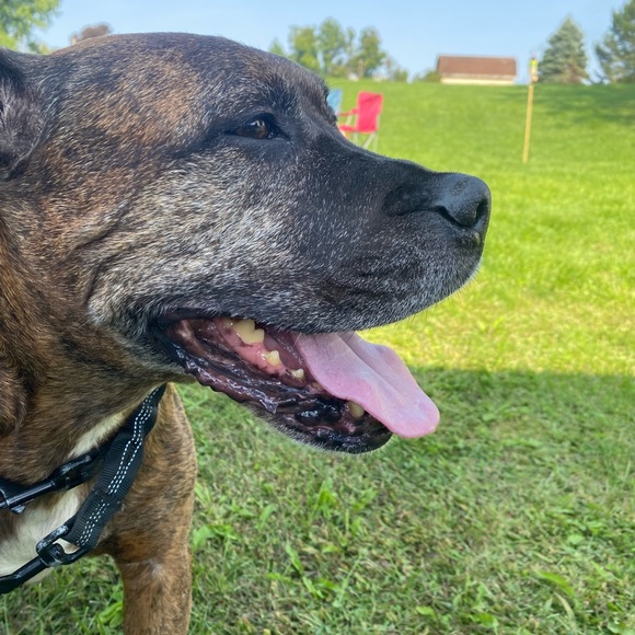 Meet your Posher, Jessica - Picture 2 of 2